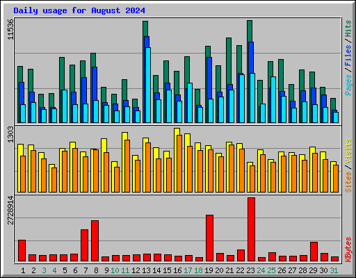 Daily usage for August 2024