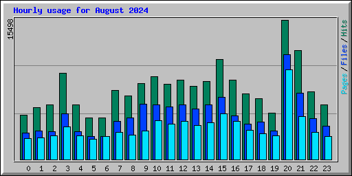 Hourly usage for August 2024