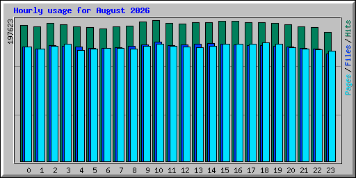 Hourly usage for August 2026